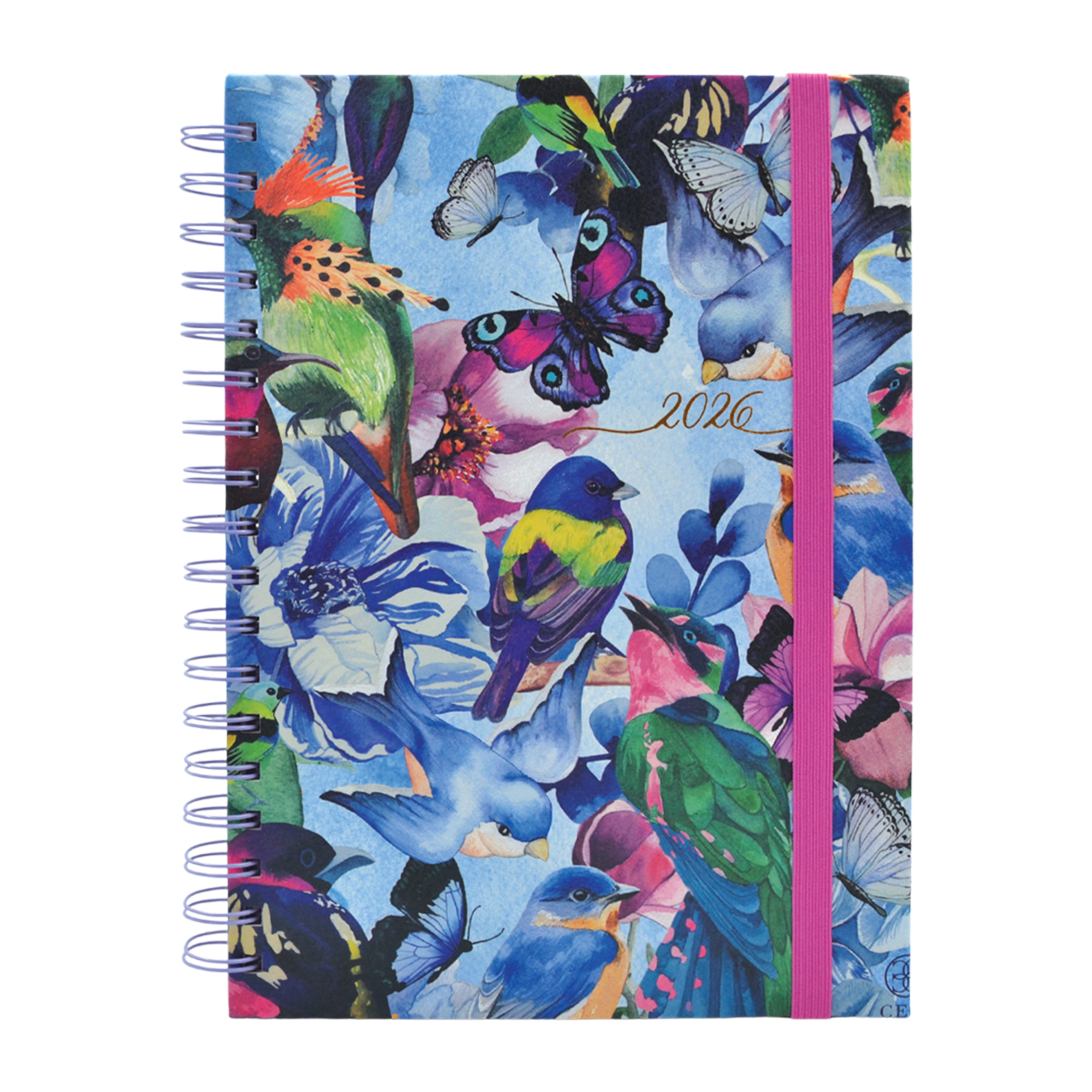 AGENDA DE ESCRITORIO MUJER AZUL O ROSA – FORMATO DIARIO