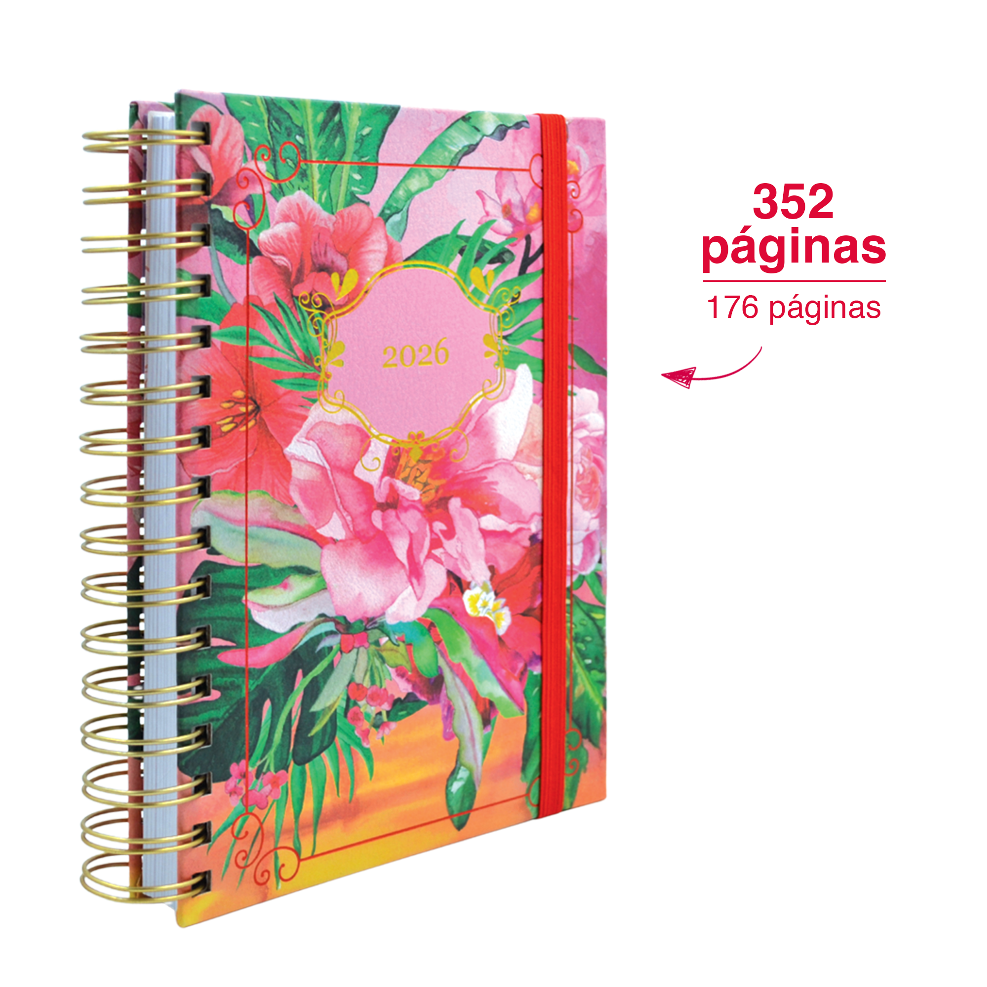 AGENDA DIARIA DE ESCRITORIO MUJER ROSITA O TURQUESA