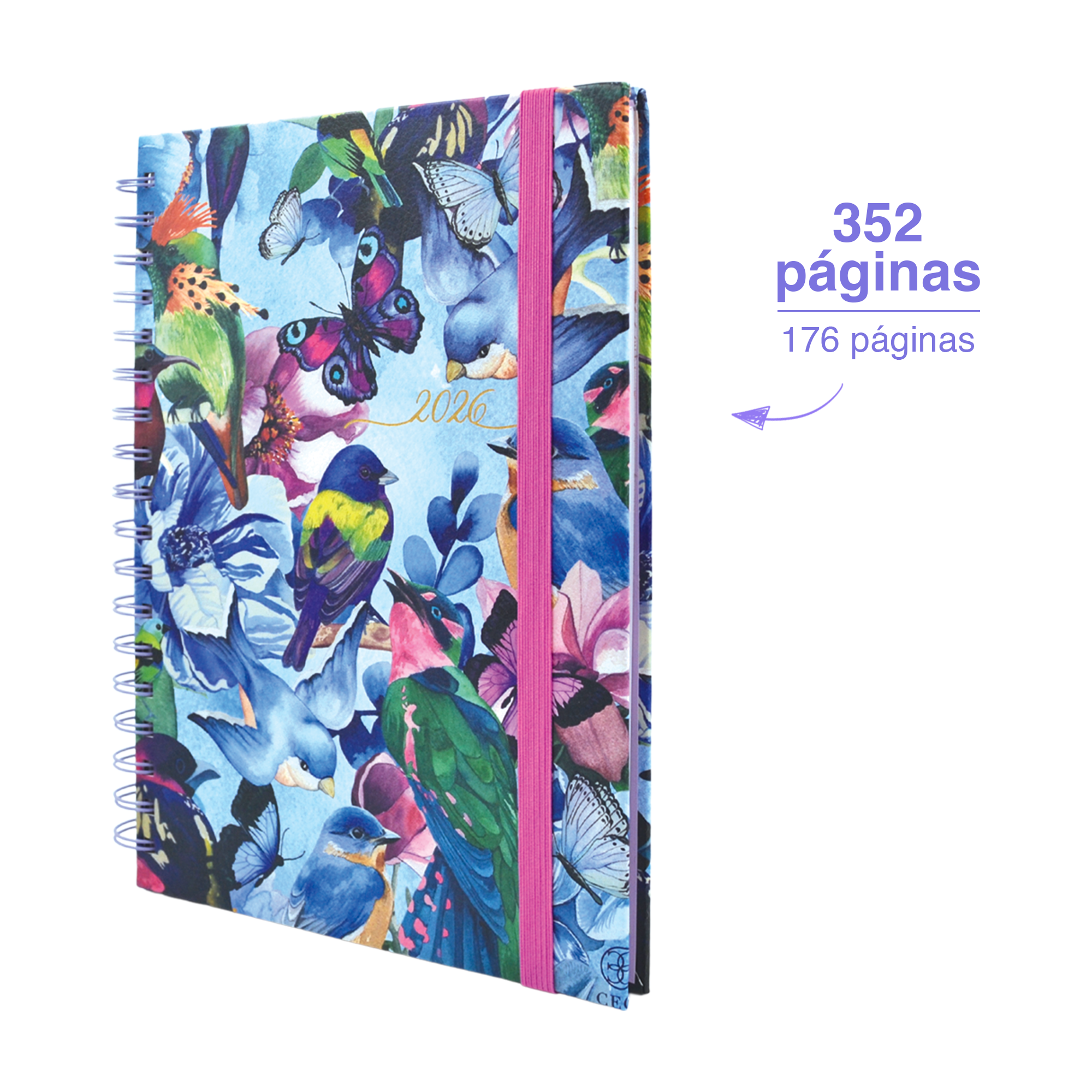 AGENDA DE ESCRITORIO MUJER AZUL O ROSA – FORMATO DIARIO