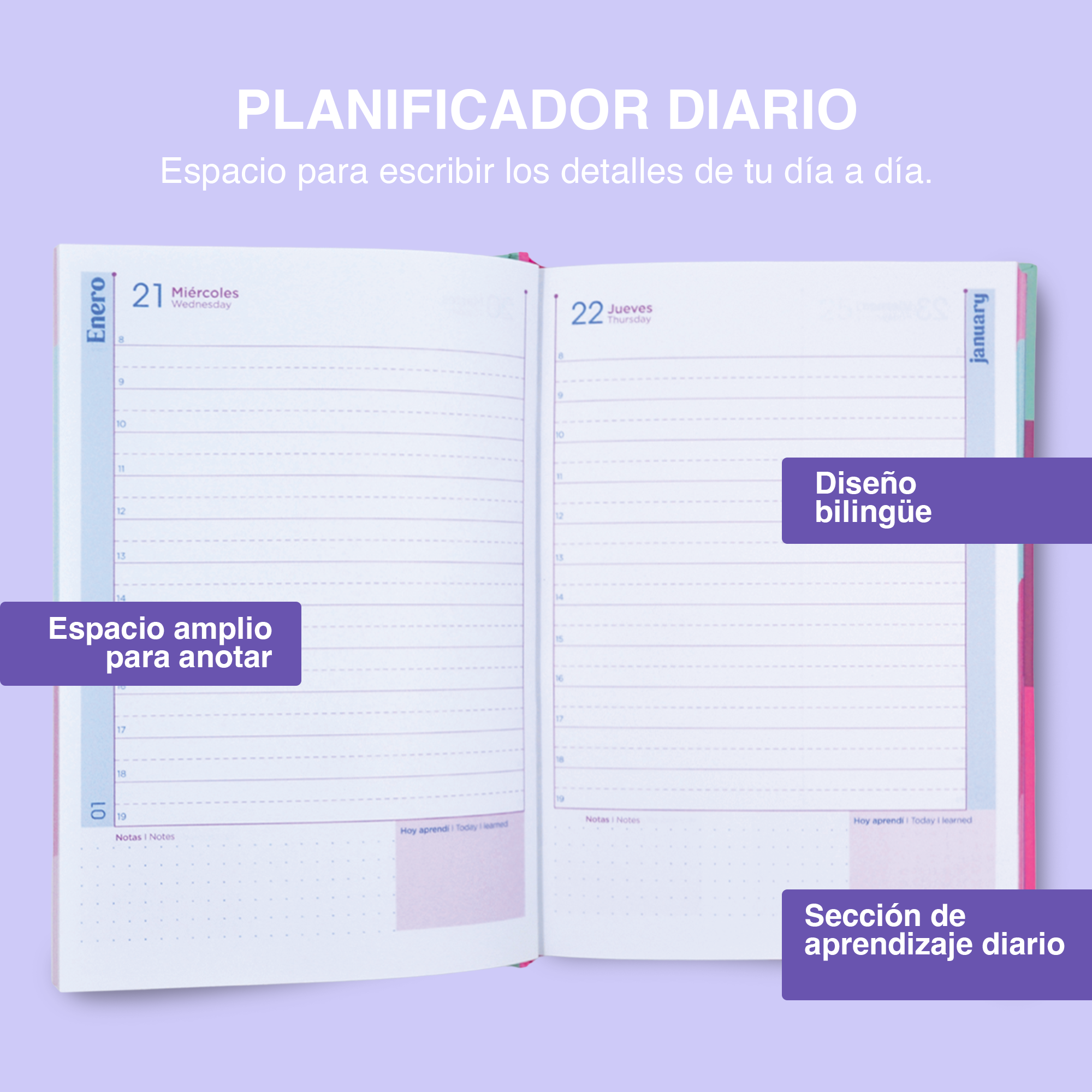 MEMORÁNDUM PASTEL CIRCULO O RAYAS – BLOC EJECUTIVO