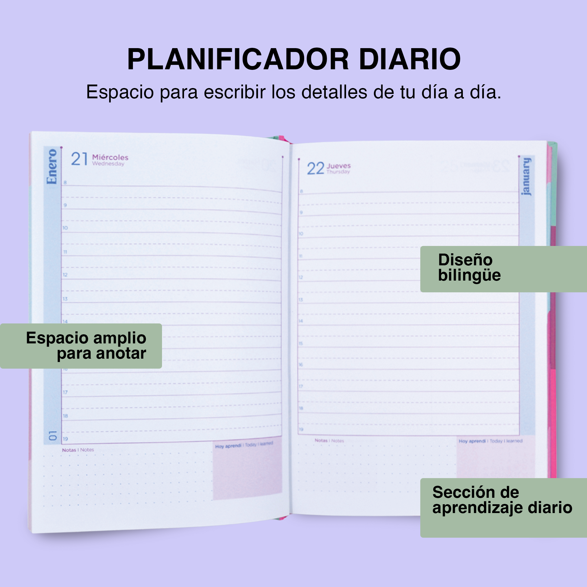 AGENDA DIARIA PASTEL – DISEÑO CIRCULO U ONDAS