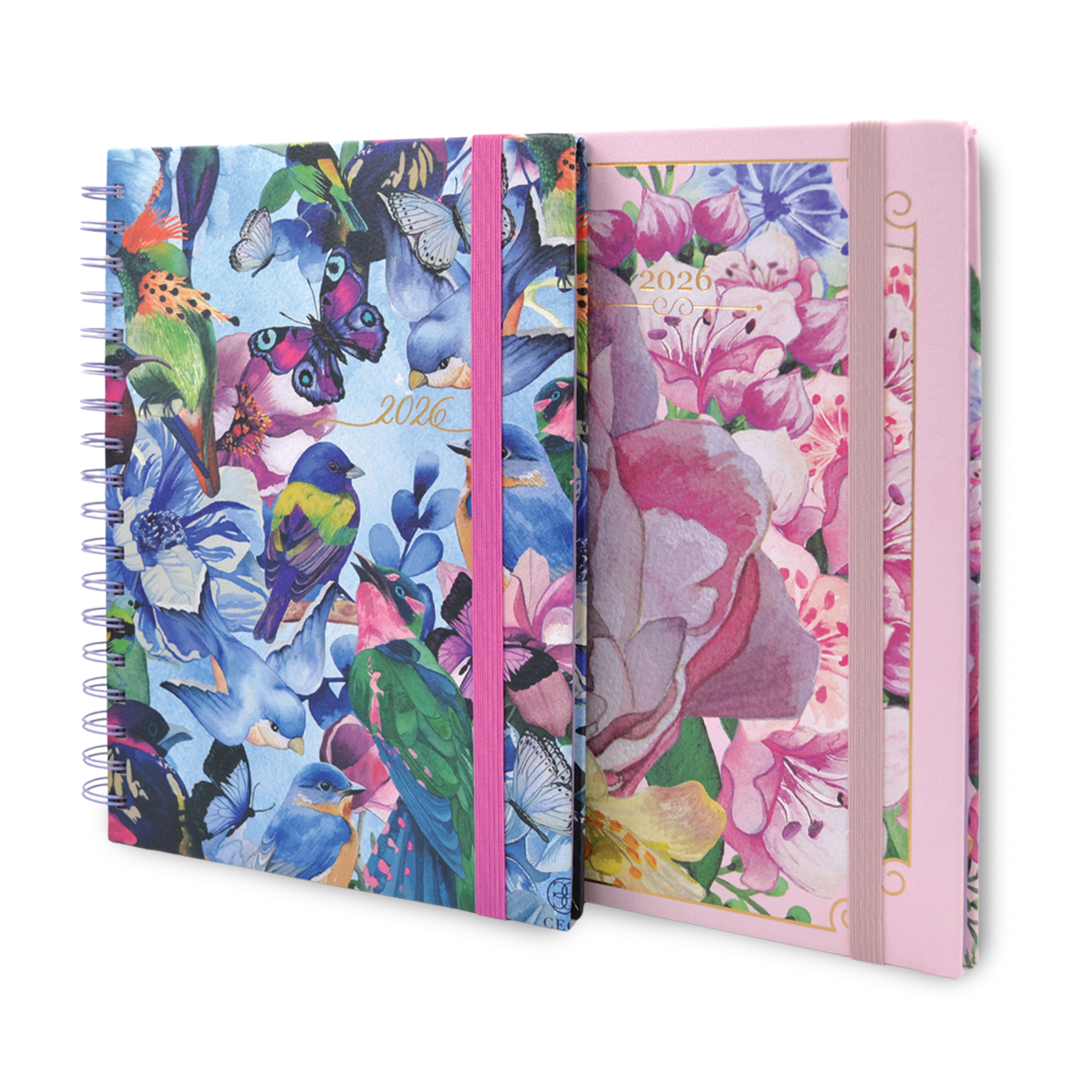 AGENDA DE ESCRITORIO MUJER AZUL O ROSA – FORMATO DIARIO