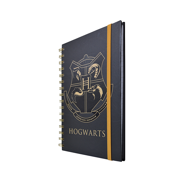 HARRY POTTER® ESPIRAL DOBLE METALICO