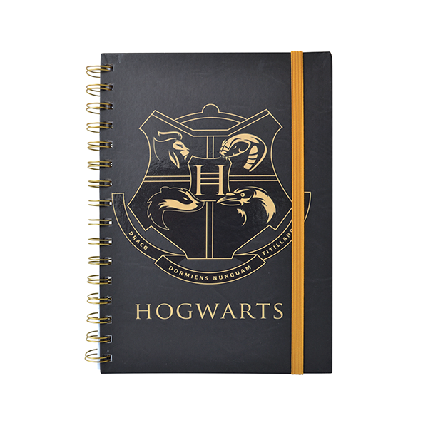 HARRY POTTER® ESPIRAL DOBLE METALICO