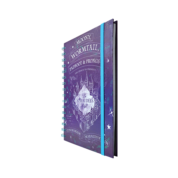 HARRY POTTER® ESPIRAL DOBLE METALICO