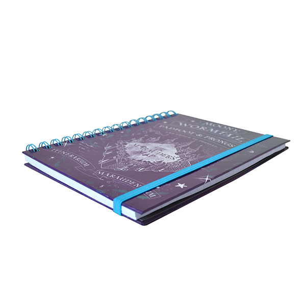 HARRY POTTER® ESPIRAL DOBLE METALICO
