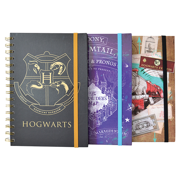 HARRY POTTER® ESPIRAL DOBLE METALICO
