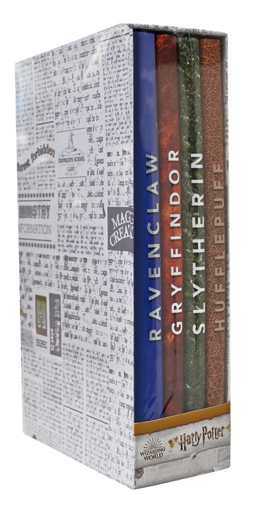 Set de Libretas Harry Potter®