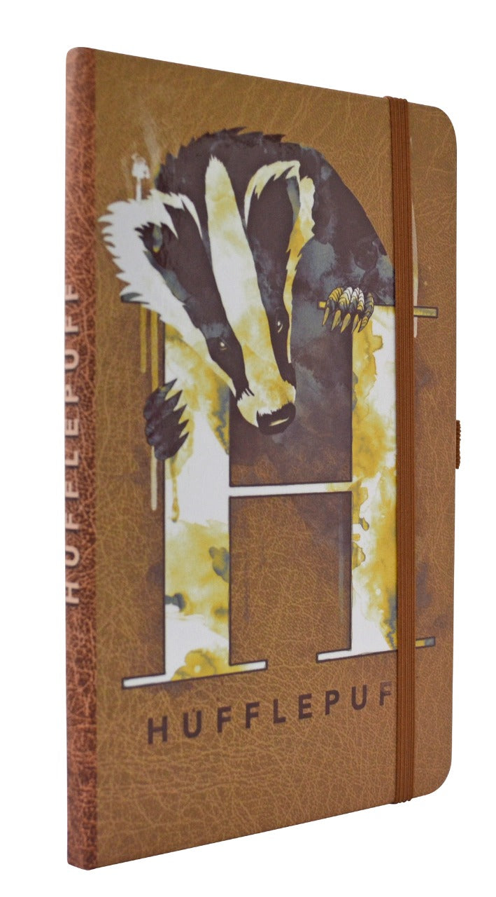 Set de Libretas Harry Potter®
