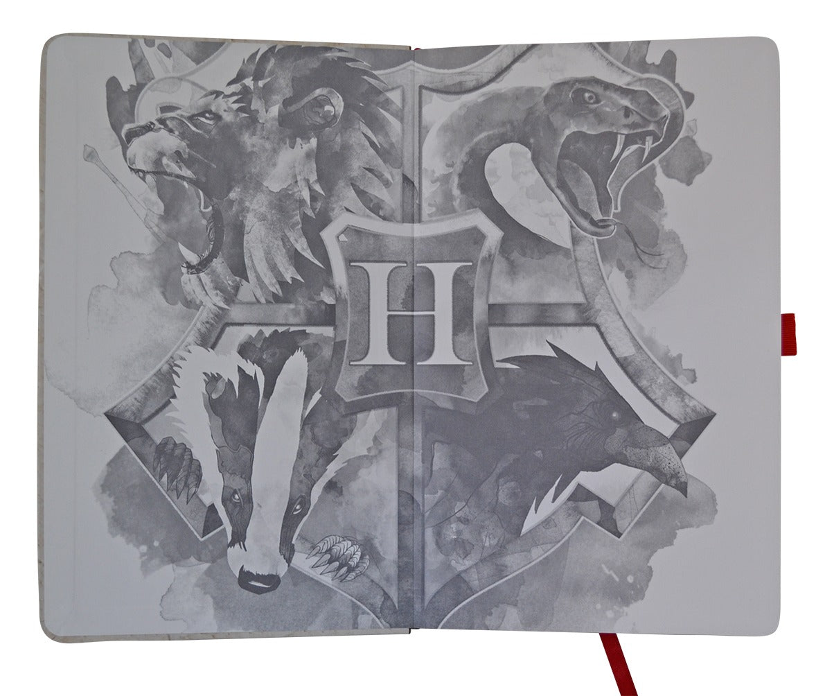 Set de Libretas Harry Potter®