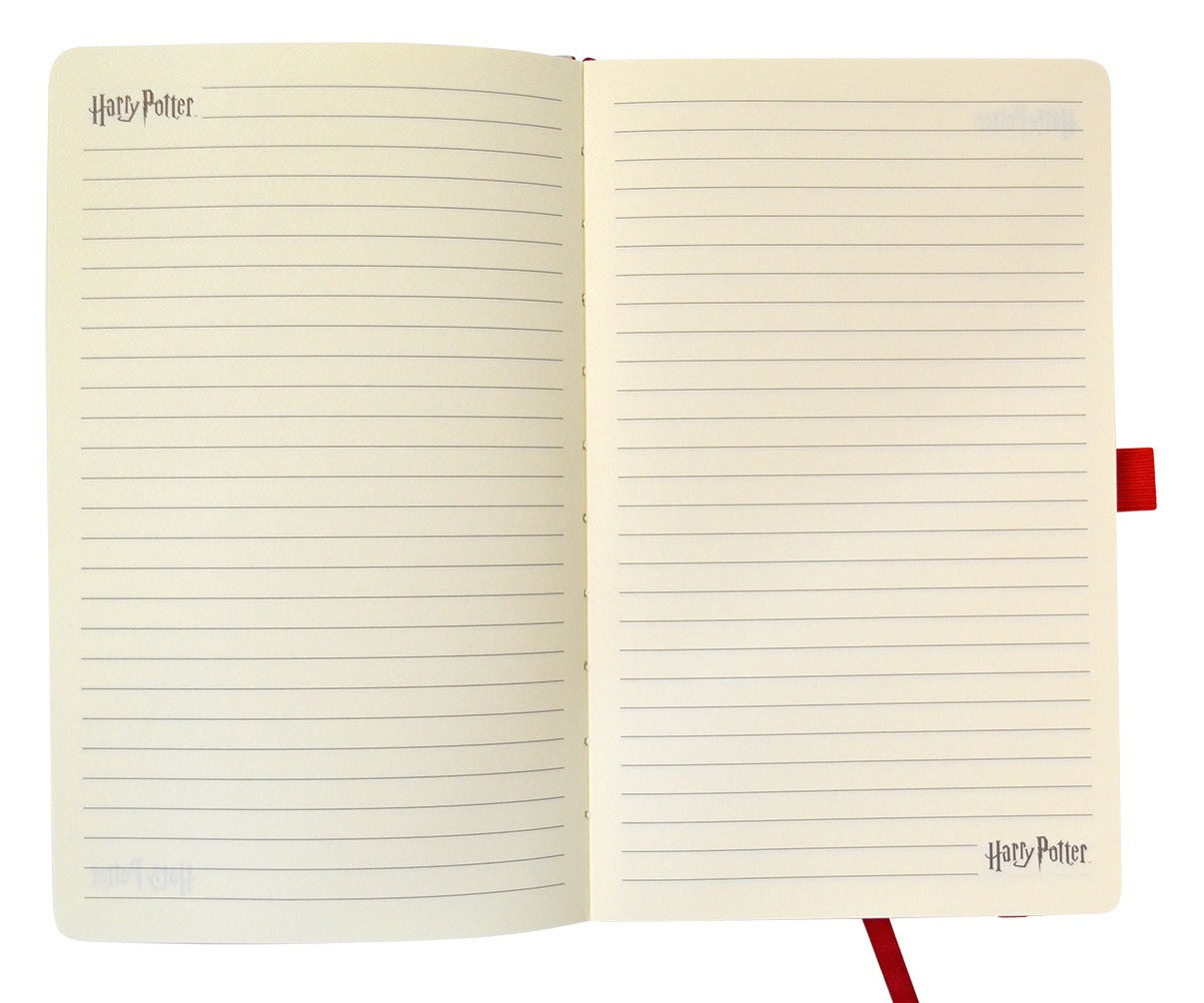 Set de Libretas Harry Potter®
